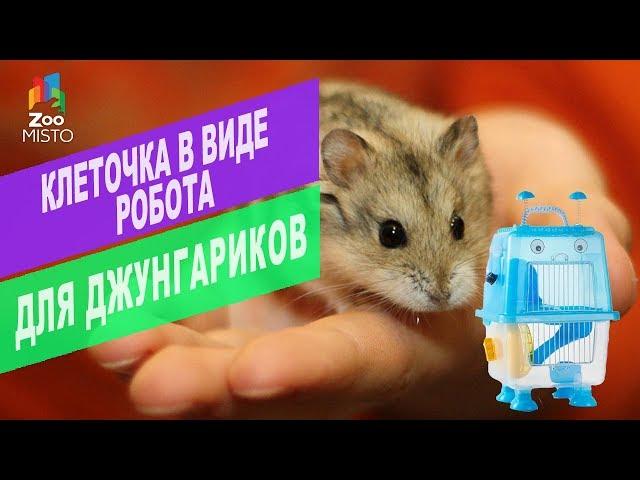 Клетка в виде робота для джунгариков  | ОБЗОР клетки в виде робота для джунгариков