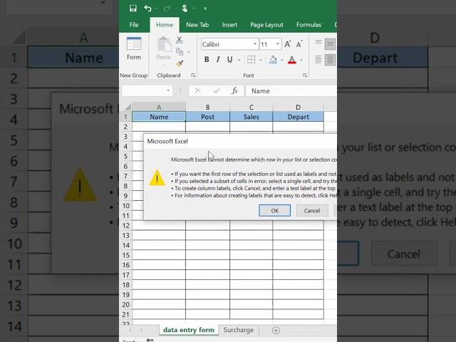 Data entry in excel | Data entry form