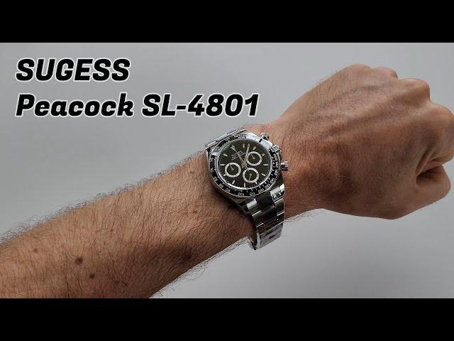 Sugess S418-2 - Automatic Mechanical Chronograph | Short review