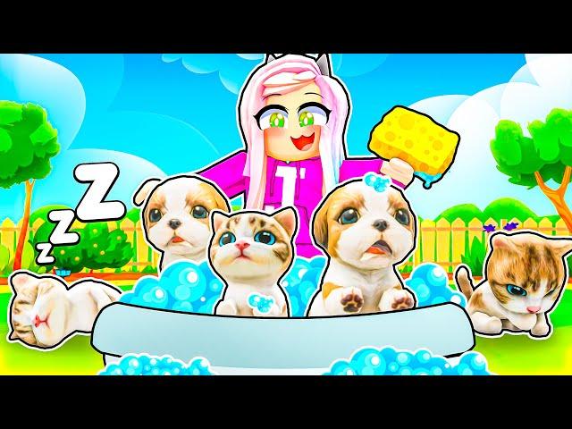 Janet takes care of Pets! | Roblox: Pet Party