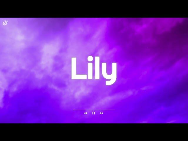 Alan Walker, K-391 & Emelie Hollow - Lily  (Lyrics)