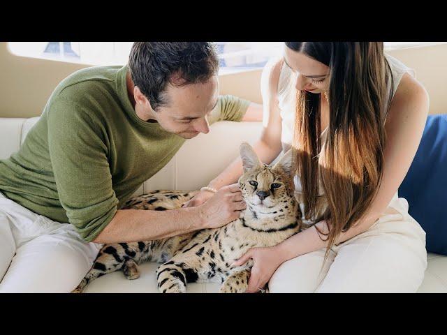 Things Nobody Will Tell You About Having an African Serval