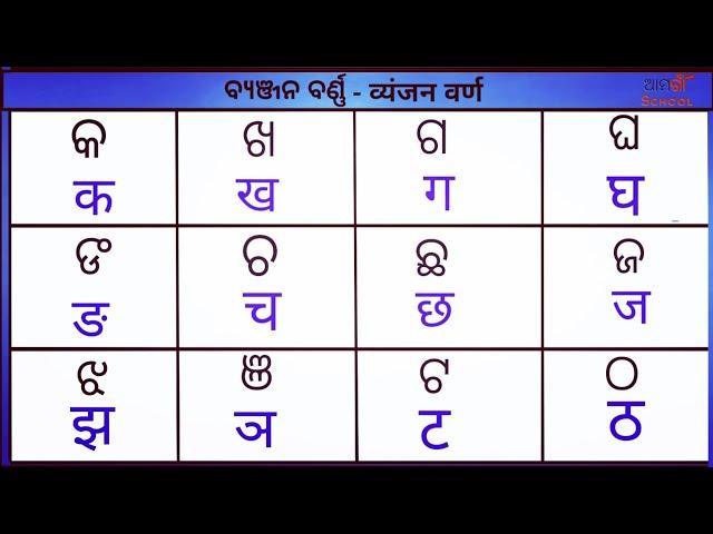 Odia Barnamala ¦¦ Hindi Alphabets ¦¦ Odia Barnabodha ¦¦ Vowels and Consonants  Odia to hind