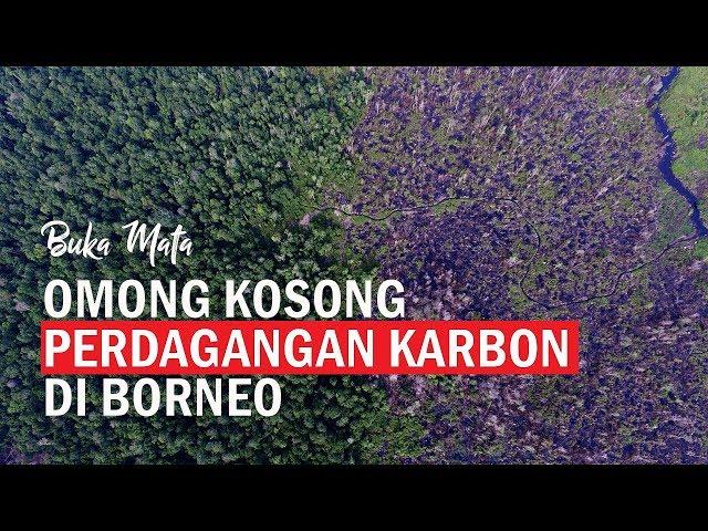 Omong Kosong Perdagangan Karbon di Borneo | Buka Mata