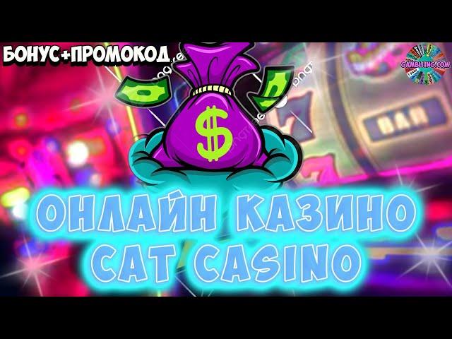 Онлайн казино Cat casino  Промокод Cat казино  Кєт казино обзор  №21