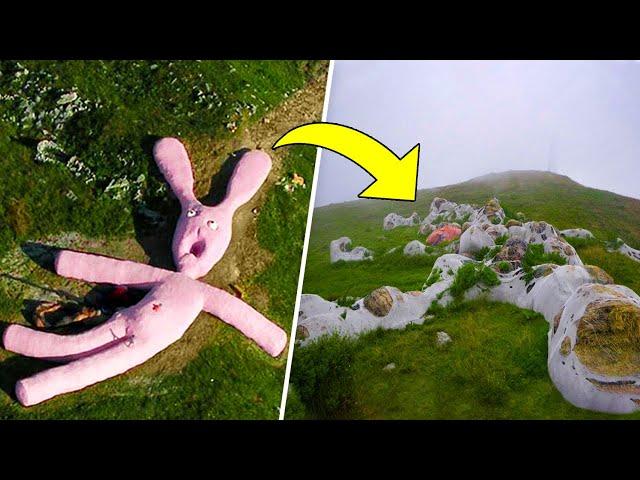 15 Years ago group of artists have knitted a huge pink rabbit and here it is now