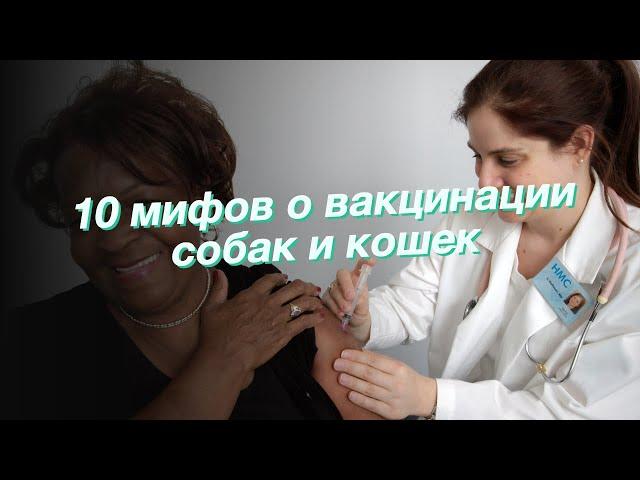 10 мифов о вакцинации собак и кошек