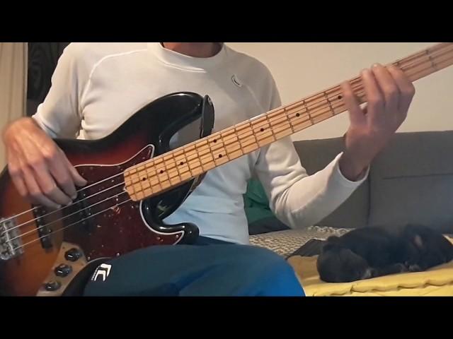 Pimpers Paradise - Bob Marley, Aston Barrett (bass cover)