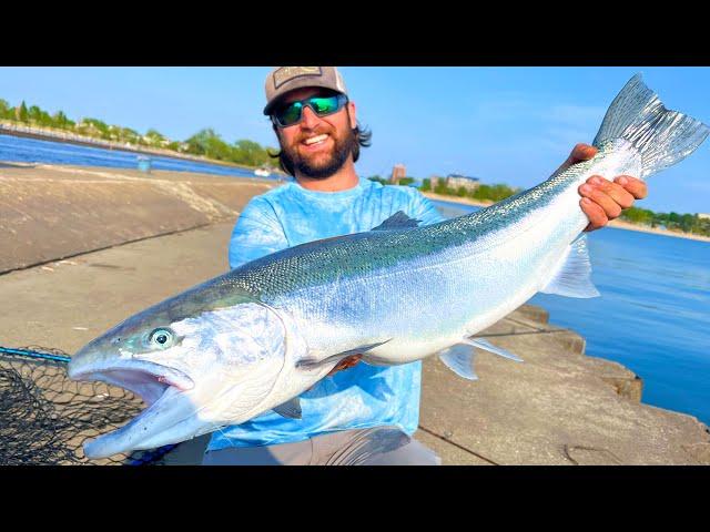 Pier Fishing ENORMOUS Steelhead & More! - Great Lakes Fishing 2023