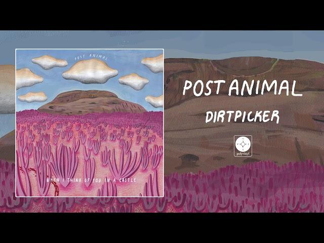 Post Animal - Dirtpicker [OFFICIAL AUDIO]