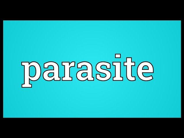 Parasite Meaning