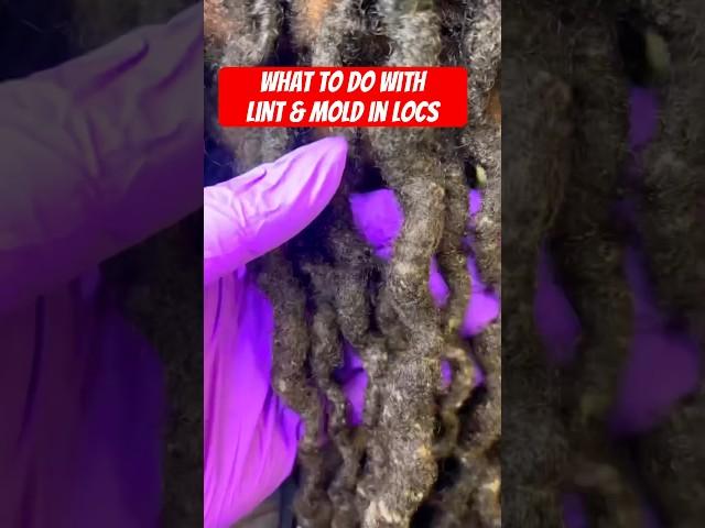 locs with lint and mold buildup