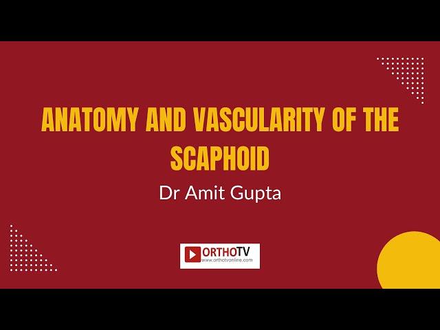 Dr Amit Gupta - Anatomy and Vascularity of the Scaphoid