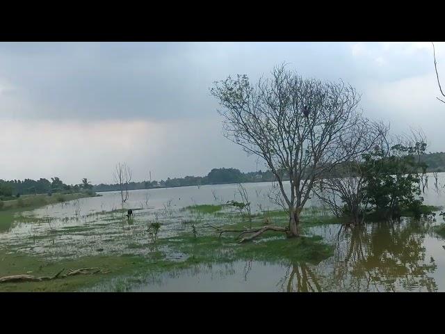 Thimmasandra lake view 1-Yelahanka