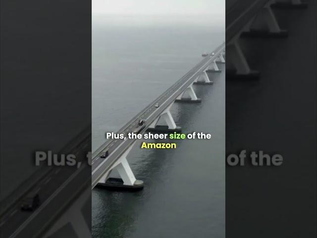 Know it! : No Bridges Over the Amazon rivers ! Huh? #curiousminds #amazonriver