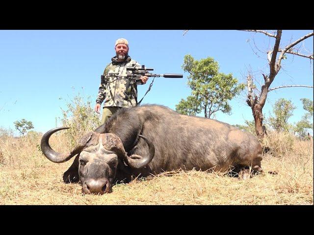 Q  |  Mozambique Trials  |  8.6 vs Cape Buffalo