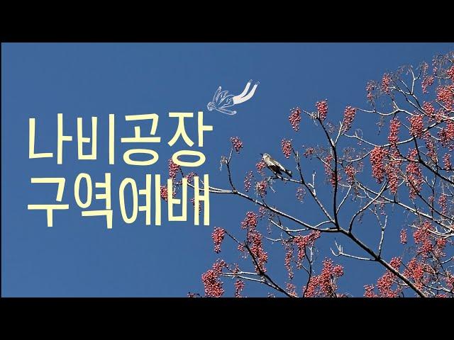 나비공장 구역예배  LIVE 2025.2.16- 오늘은 ...찬양!!