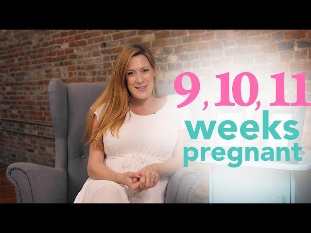 9, 10, 11 Weeks Pregnant - Ovia Pregnancy