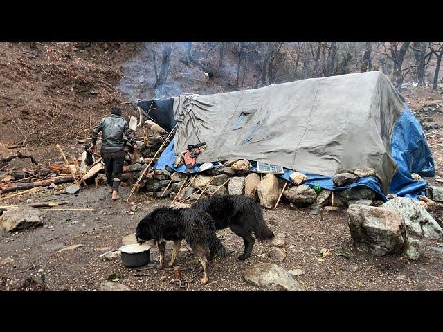 Most Enjoyable Mountain Village Life Nepal || The Shepherd Life During Rain || Winter Documentary.