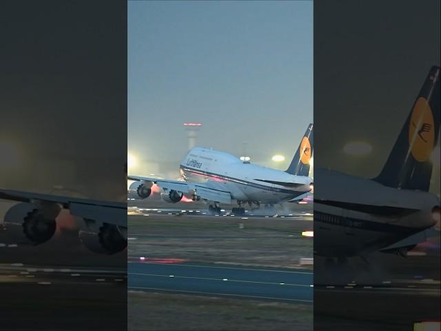 Lufthansa Retro Jumbo Early morning arrival at FRA #planespotting #aviation #ytshorts #airport #yt