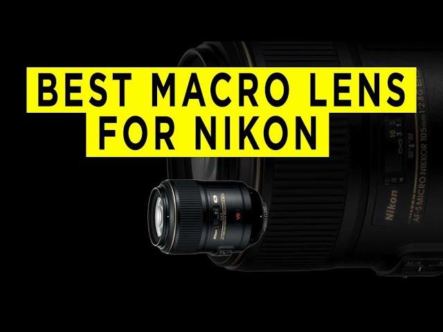 Best Macro Lens for Nikon - Photography PX - 2022