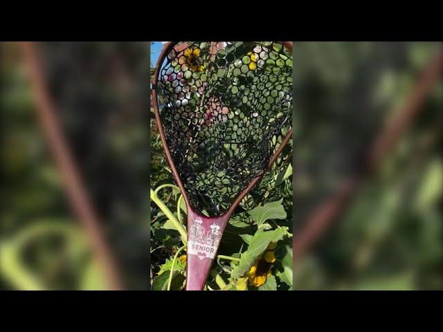 Purpleheart Fly-Fishing Net