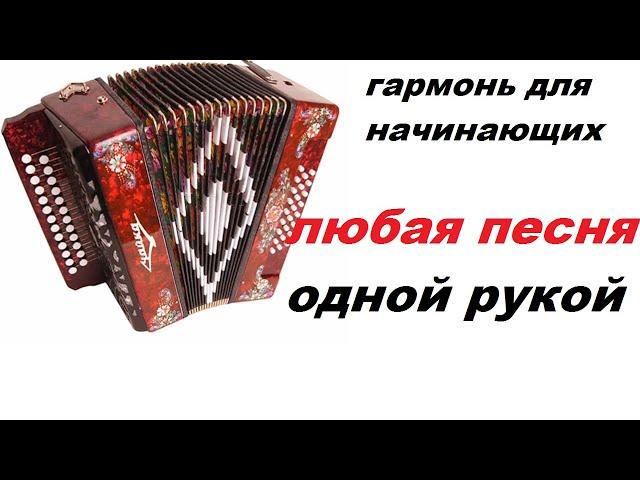 Гармонь с нуля