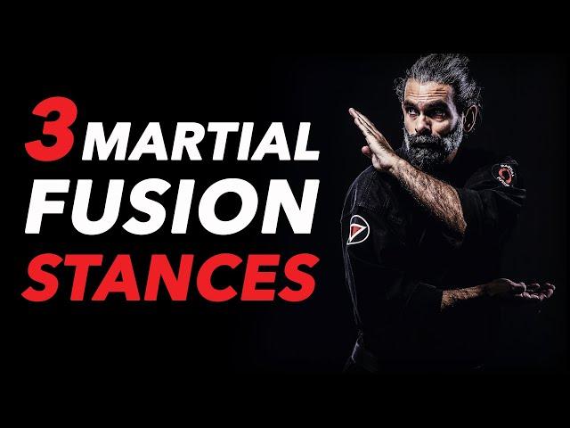 The 3 Martial Fusion® Stances