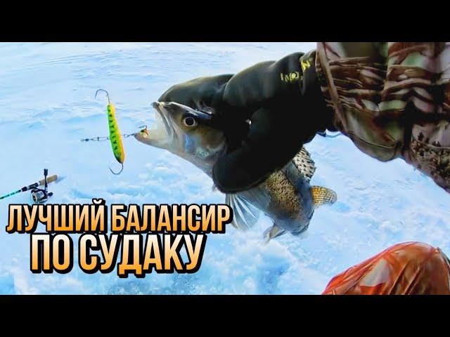 !!!!!ЛУЧШИЙ БАЛАНСИР по СУДАКУ!!!!! Ловля крупного судака. Ловля судака на балансир / Судак зимой