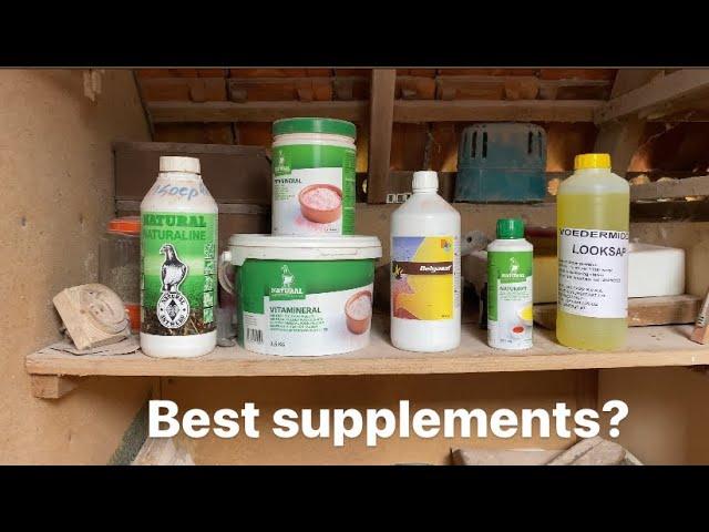 What Racing Pigeon Supplements Are The Best For us