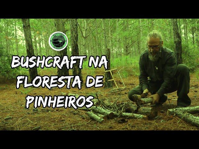 BUSHCRAFT NA FLORESTA / PRATICANDO ENTALHE