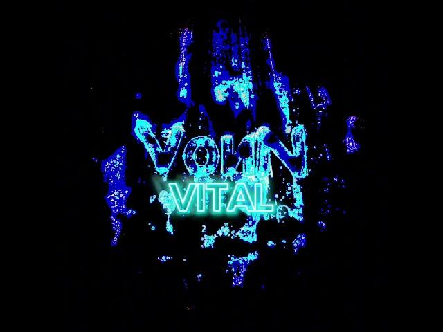 (VоиN) - VITAL