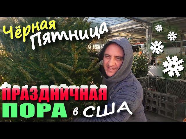 Покупки на $1700 в Black Friday/ Нарядили Ёлку, украсили дом и улицу! Праздничная пора, а мы болеем