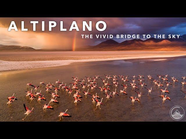 THE ANDES - THE VIVID BRIDGE TO THE SKY 4K