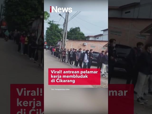 Viral! Antrean Pelamar Kerja Membludak di Cikarang #shorts #viral