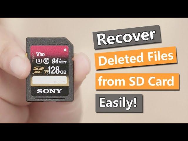 [2023] How to Recover Deleted Files from Formatted SD Card Easily! | Works on Win&Mac