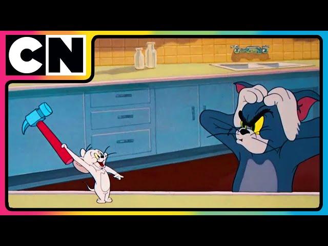 Tom and Jerry  | The Great Thanksgiving Milk  Heist! |  Cat and Mouse | Compilation | @cnindia