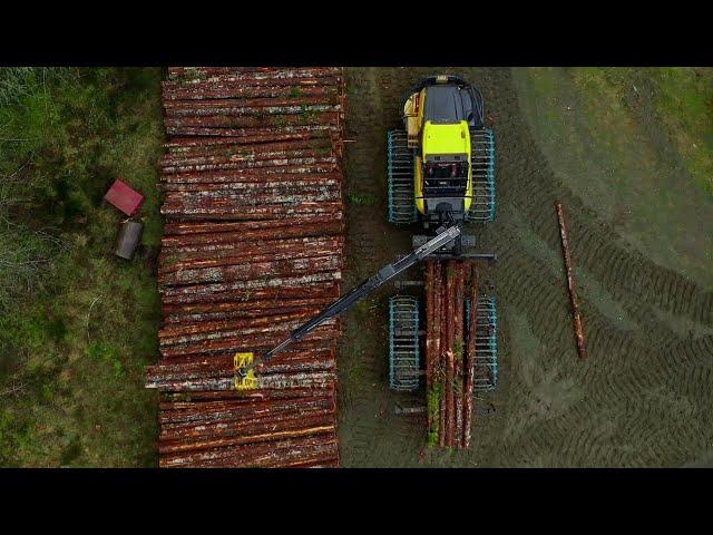 From stump to dump in British Columbia, Canada with PONSSE Buffalo