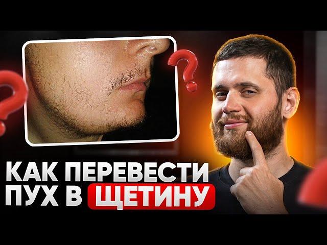 Как быстрее перевести ПУШОК в полноценную ЩЕТИНУ