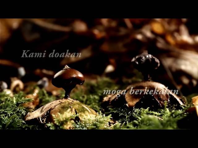 Kompang Dipalu ( Lirik ) - Waheeda dan Izam Eye