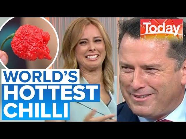 Absolute chaos as hosts eat world’s hottest chilli | Today Show Australia