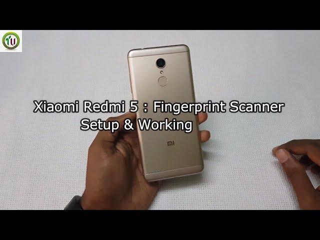 Xiaomi Redmi 5 Fingerprint Scanner Setup & Working