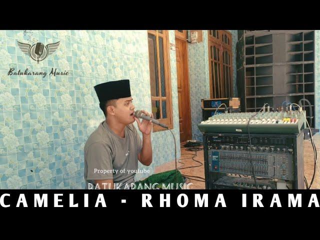 Lagu Viral Camelia • Rhoma || Cover