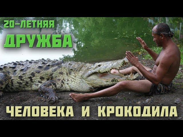 Невероятная дружба человека и крокодила. ПОЧО!