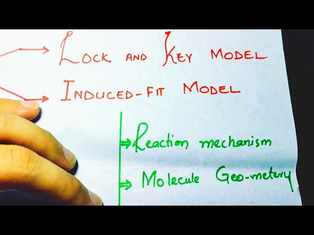 Enzymes Full chapter overview class 11| Enzymes chapter class 11| what is enzyme | Class 11 biology