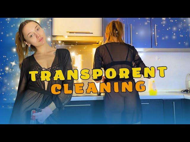 Spotless Kitchen Cleaning – Transparent Style