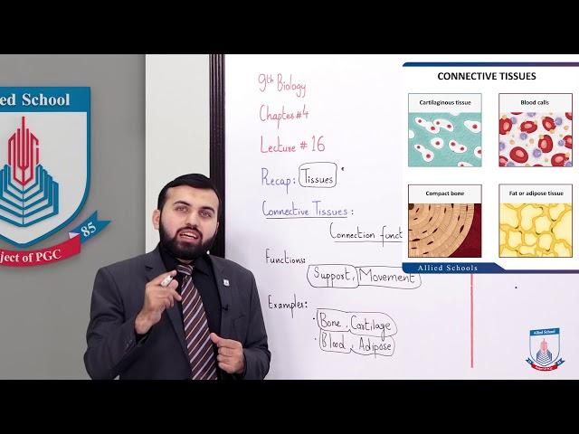 Class 9 - Biology - Chapter 4 - Lecture 16 Animal Tissues - Allied Schools