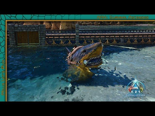 ARK: Survival Ascended #050 Megalodon zähmen [deutsch/gameplay]