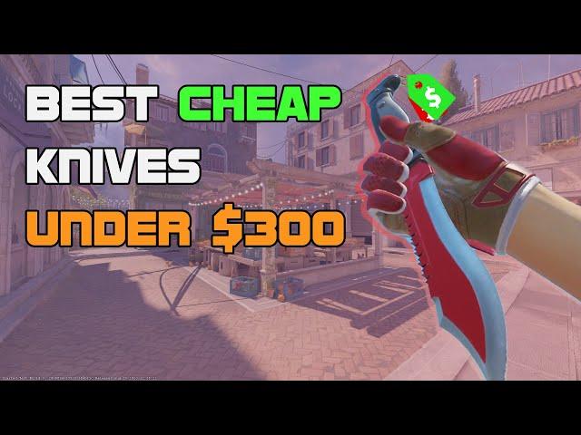 CHEAP CS2 Knives That Look EXTREMELY GOOD (Under $300!)