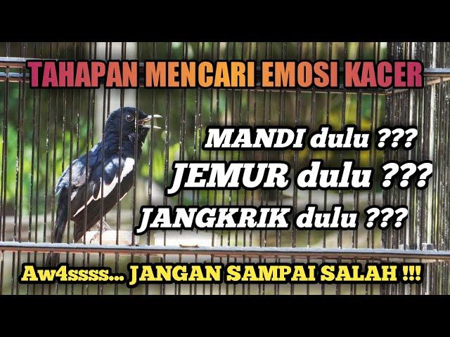 JANGAN SAMPAI SALAH !!! TAHAPAN MENCARI EMOSI KACER